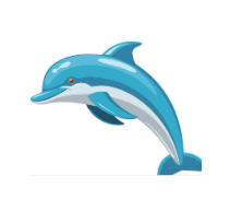 Innovative Dolphin